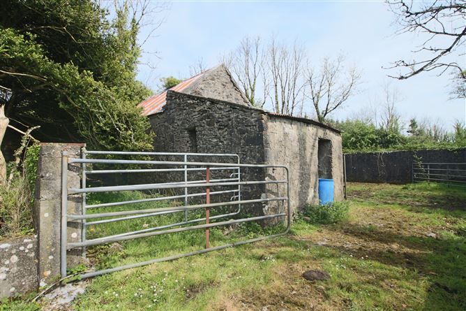 Canbo, Croghan, Carrick-On-Shannon, Co. Roscommon