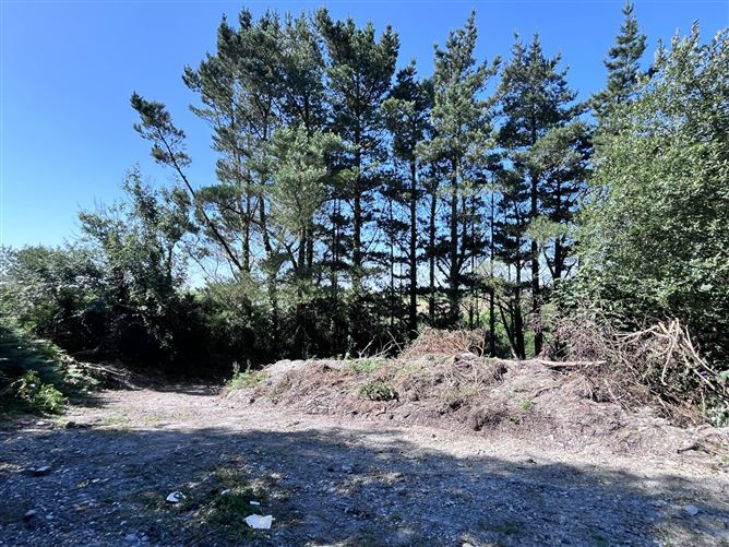 Ardagh West, Rosscarbery, Co. Cork