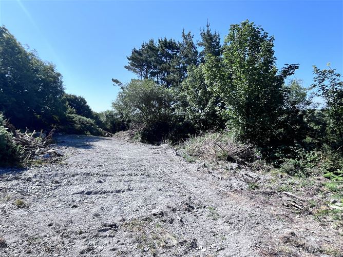Ardagh West, Rosscarbery, Co. Cork