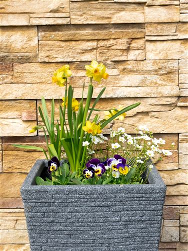 3 Wheatfields, Monageer, Wexford