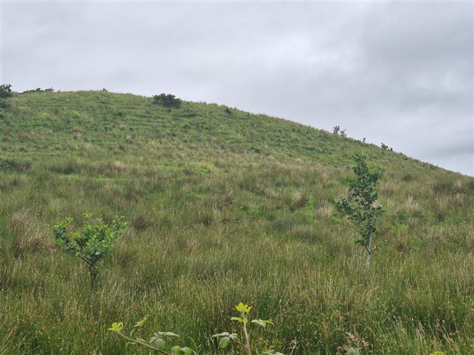 Doobeha Garranard, Crossmolina, Mayo