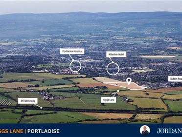 c. 13 Acres, Higgs Lane, Portlaoise, Laois