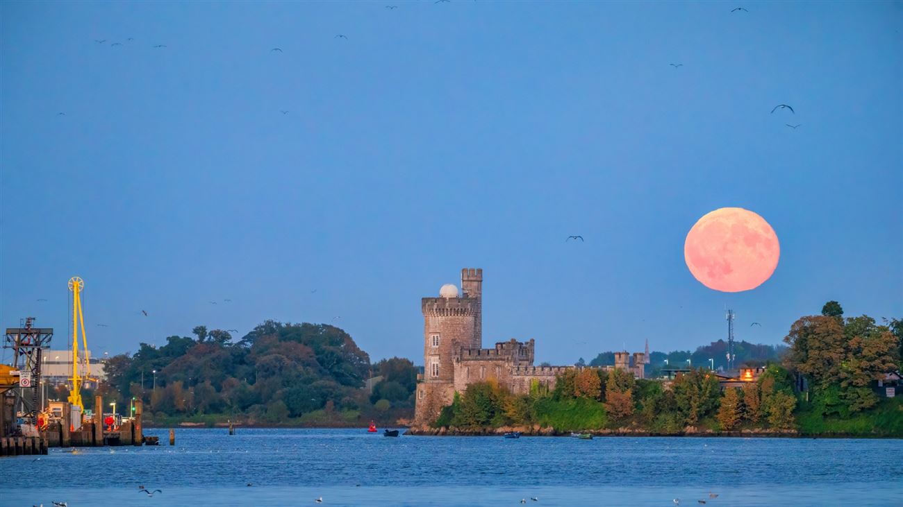 Blackrock Villas, Blackrock, Cork