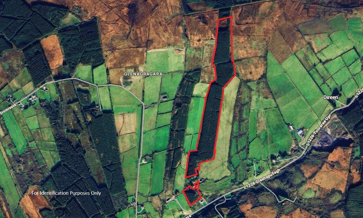 Forestry & Lands Glenagragara, Athea, Co. Limerick