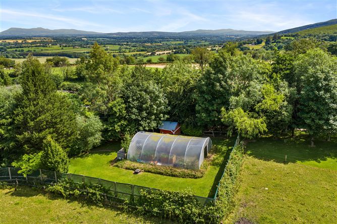 Photo 31 of 35 — Cloughoula, Killavullen, Co. Cork.