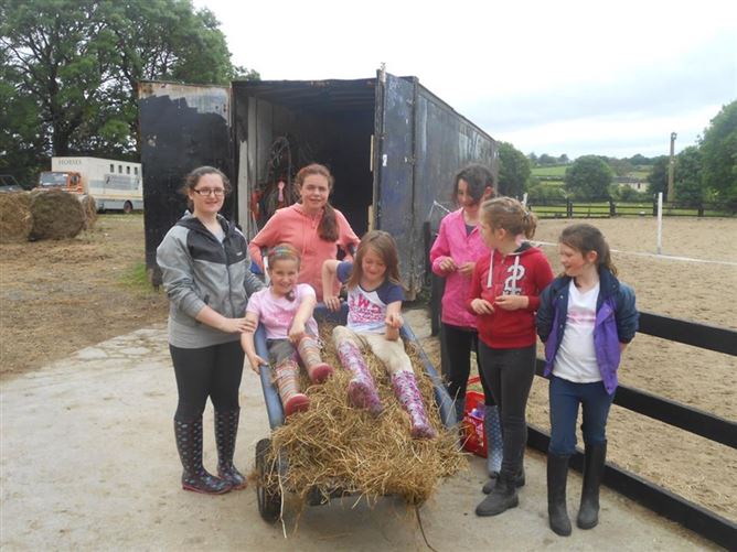 family Home  loves horses Boskill, Co. Limerick