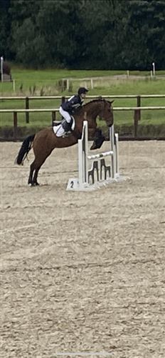 family Home  loves horses Boskill, Co. Limerick