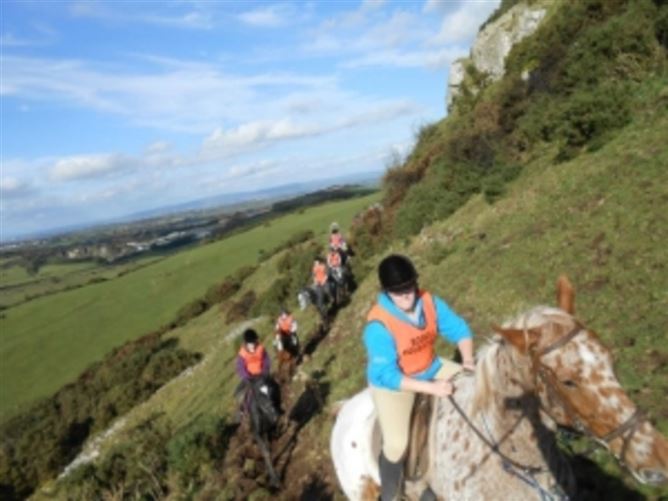 family Home  loves horses Boskill, Co. Limerick