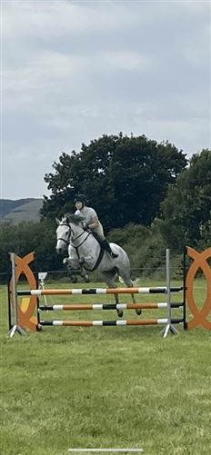 family Home  loves horses Boskill, Co. Limerick