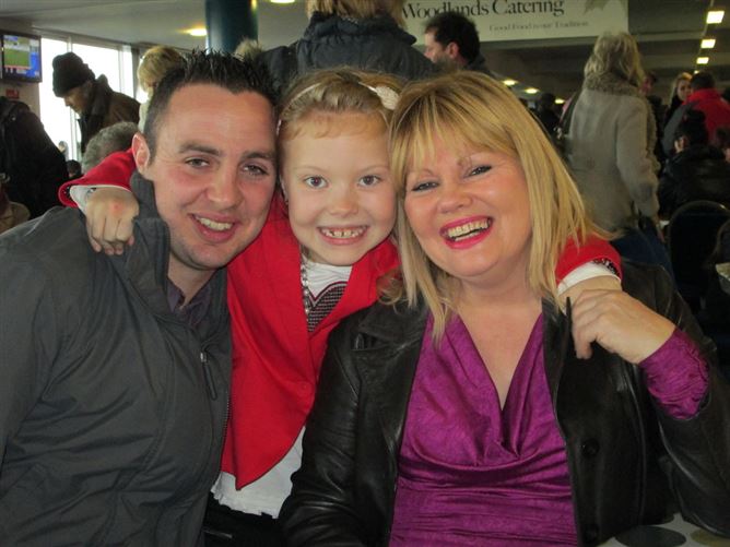 family Home  loves horses Boskill, Co. Limerick