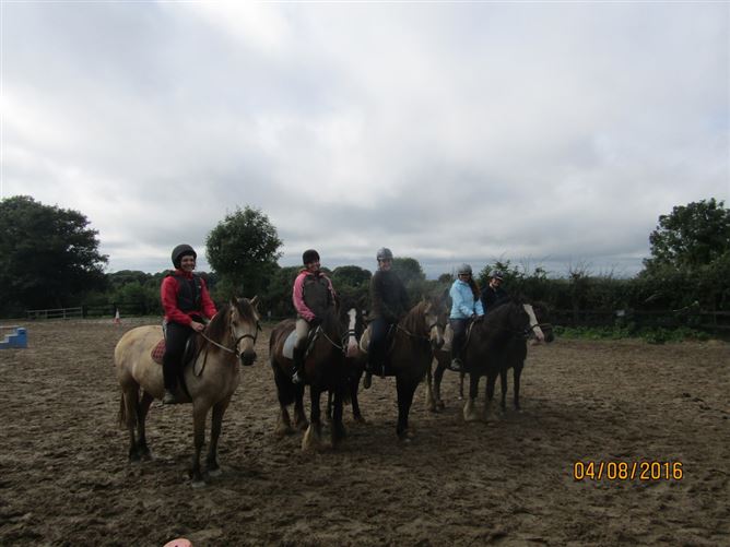 family Home  loves horses Boskill, Co. Limerick
