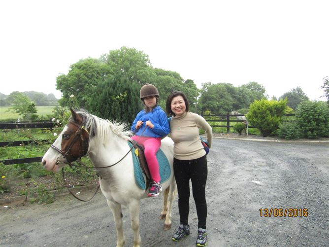 family Home  loves horses Boskill, Co. Limerick