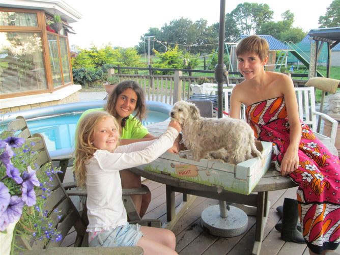 family Home  loves horses Boskill, Co. Limerick