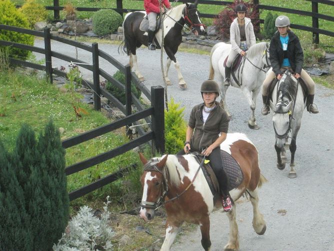 family Home  loves horses Boskill, Co. Limerick