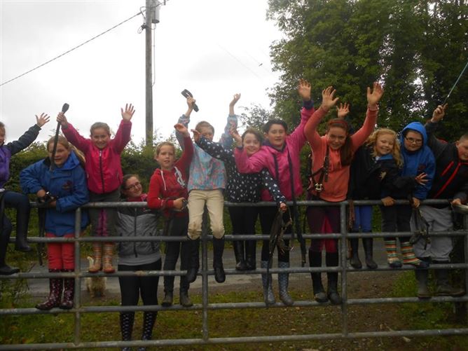 family Home  loves horses Boskill, Co. Limerick