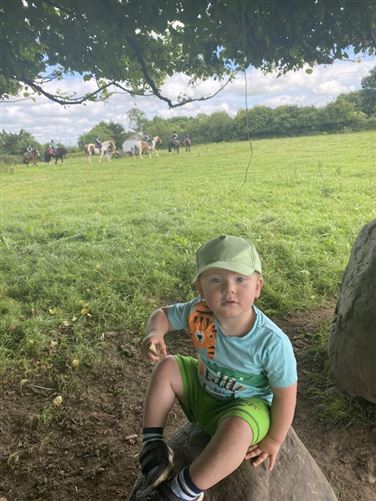 family Home  loves horses Boskill, Co. Limerick