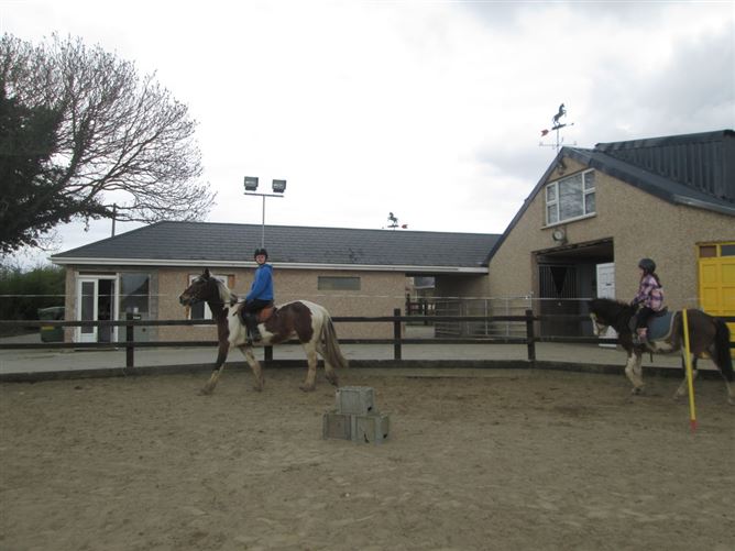 family Home  loves horses Boskill, Co. Limerick
