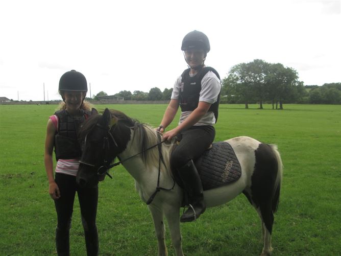 family Home  loves horses Boskill, Co. Limerick