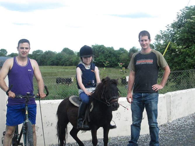 family Home  loves horses Boskill, Co. Limerick