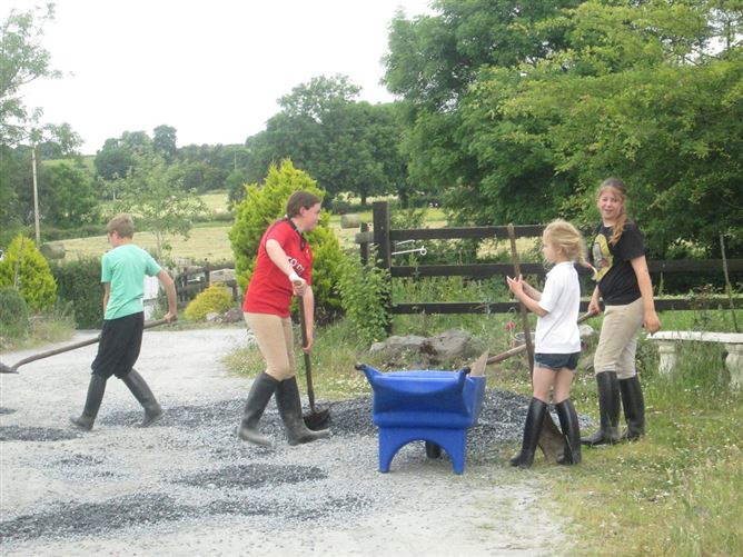 family Home  loves horses Boskill, Co. Limerick