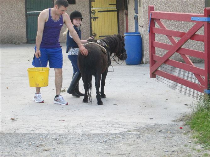 family Home  loves horses Boskill, Co. Limerick