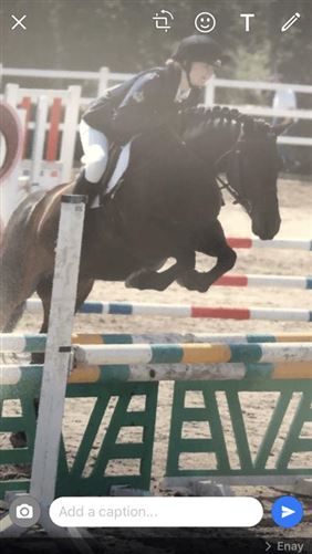 family Home  loves horses Boskill, Co. Limerick