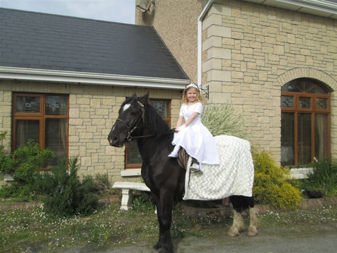 family Home  loves horses Boskill, Co. Limerick