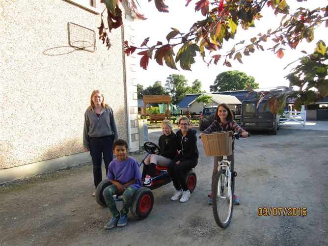 family Home  loves horses Boskill, Co. Limerick