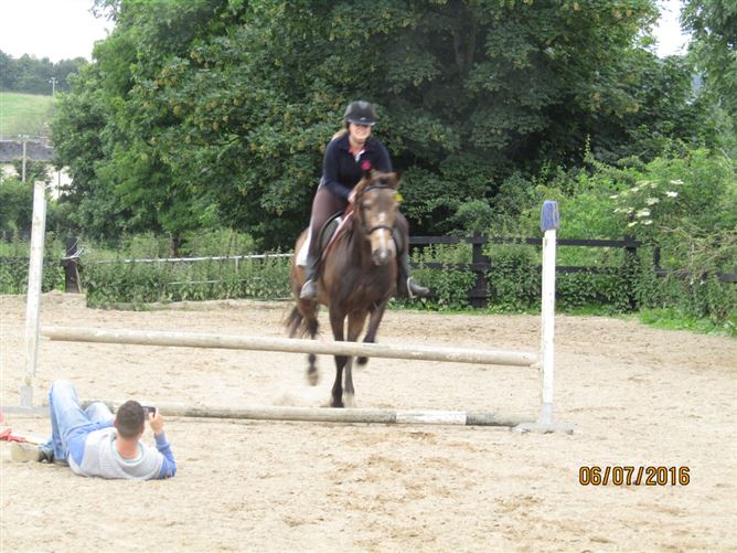 family Home  loves horses Boskill, Co. Limerick