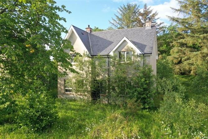 Fawn, Dromahair, Leitrim