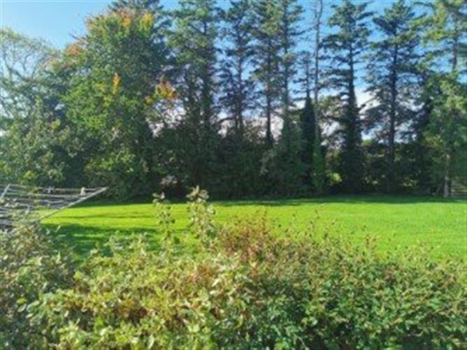 Clonard Great, Clonard, Wexford Town