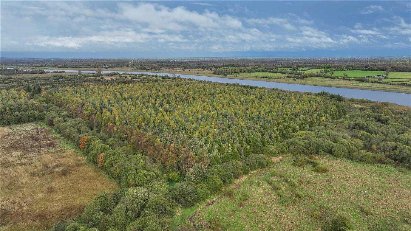 Ballyleague, Lanesboro, Roscommon