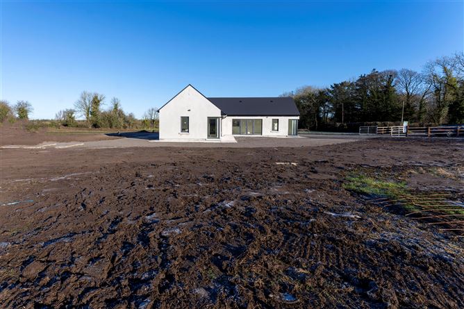 Duntryleague , Garryspillane, Limerick