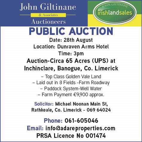 Inchinclare, Banogue, Limerick