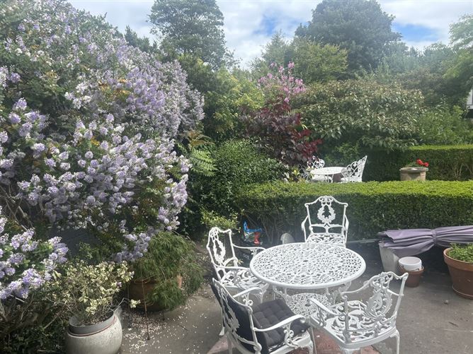 Fin, Dun Laoghaire, Co. Dublin