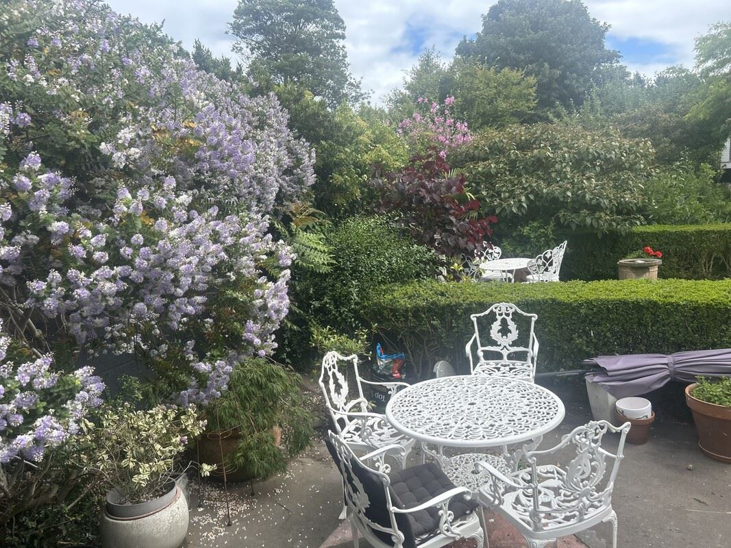 Fin, Dun Laoghaire, Co. Dublin