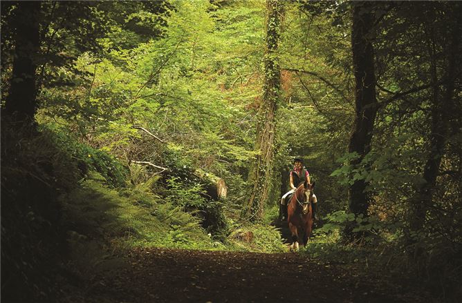 18 Walton's Grove, Mount Juliet Estate, Thomastown, Co.Kilkenny