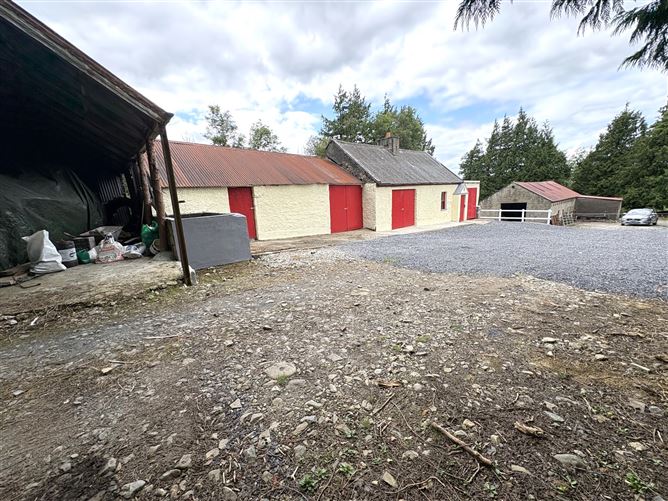 Photo 14 of 19 — Cloonelly, Moyne, Longford