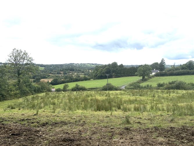 Photo 19 of 19 — Cloonelly, Moyne, Longford