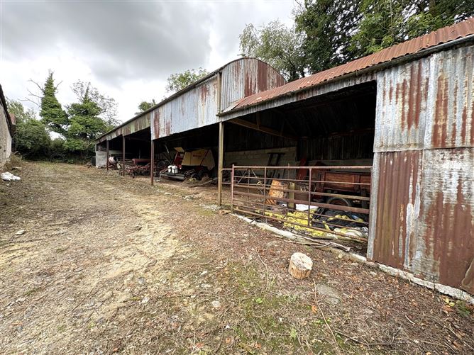 Photo 16 of 19 — Cloonelly, Moyne, Longford