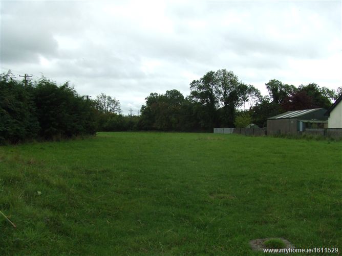 Old Ross Road, Tara, Co. Meath