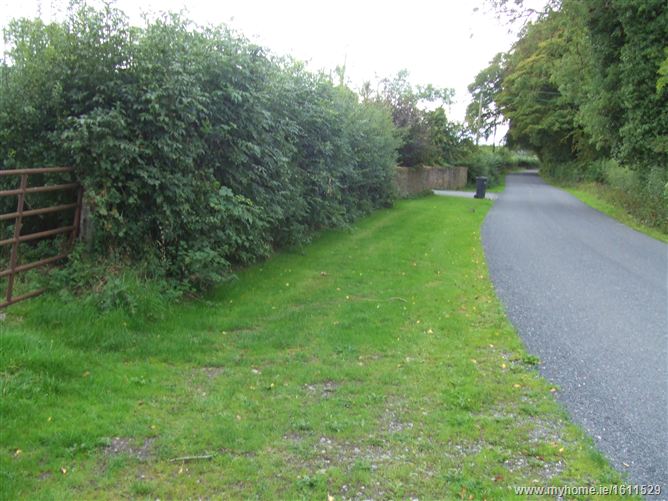 Old Ross Road, Tara, Co. Meath