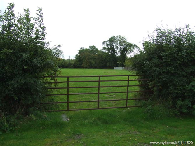 Old Ross Road, Tara, Co. Meath