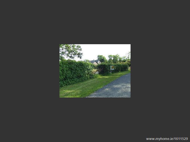 Old Ross Road, Tara, Co. Meath