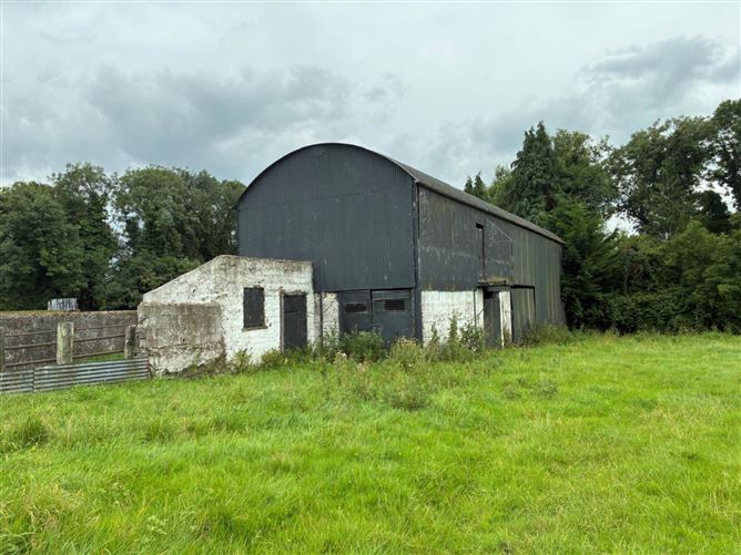 Derelict Residenceon Approx. 8.7 Acres (Lot 2), Piercetown, Dunboyne, County Meath
