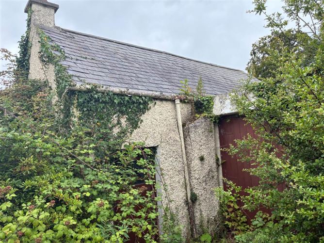 Derelict Residenceon Approx. 8.7 Acres (Lot 2), Piercetown, Dunboyne, County Meath