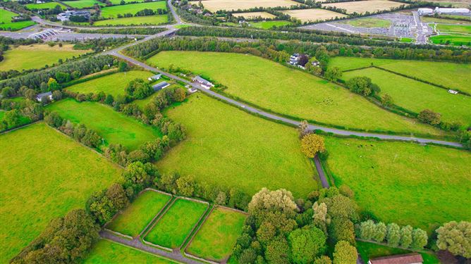 Derelict Residenceon Approx. 8.7 Acres (Lot 2), Piercetown, Dunboyne, County Meath