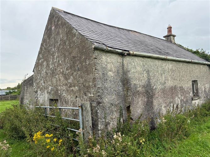 Derelict Residenceon Approx. 8.7 Acres (Lot 2), Piercetown, Dunboyne, County Meath