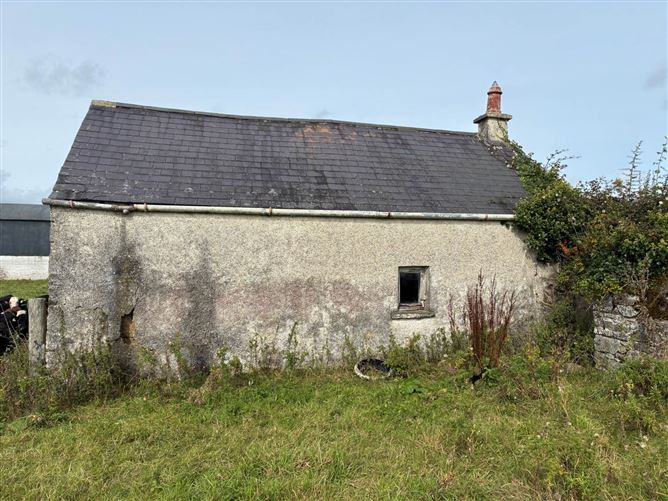 Derelict Residenceon Approx. 8.7 Acres (Lot 2), Piercetown, Dunboyne, County Meath