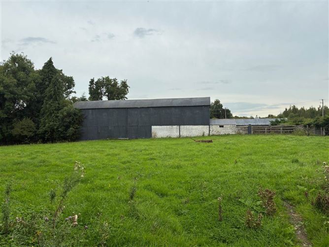 Derelict Residenceon Approx. 8.7 Acres (Lot 2), Piercetown, Dunboyne, County Meath